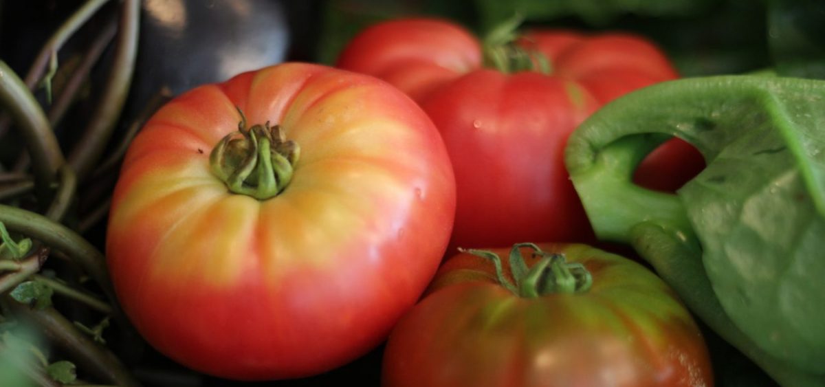 provence food tomatoes