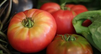 Provence Cuisine