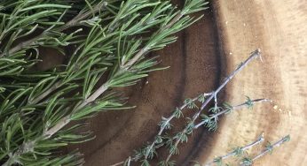 Herbes de Provence