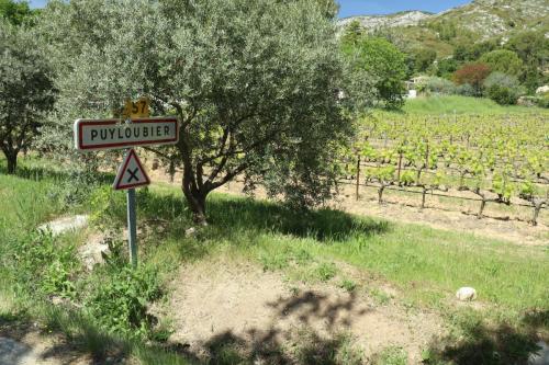 Vineyard near Puyloubier, France