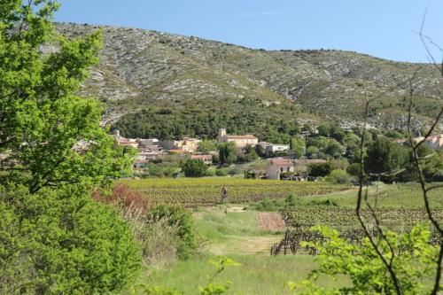 Vineyards near Puyloubier, France