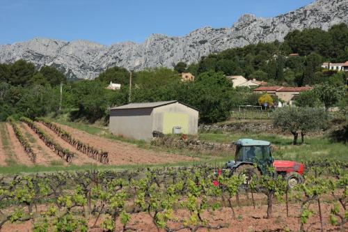 Vineyards near Puyloubier, France