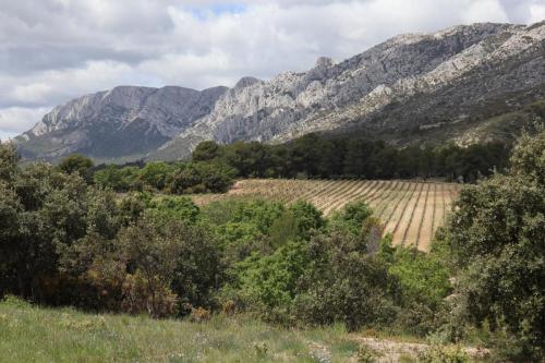 Sainte-Victoire Mountain near Puyloubier, France